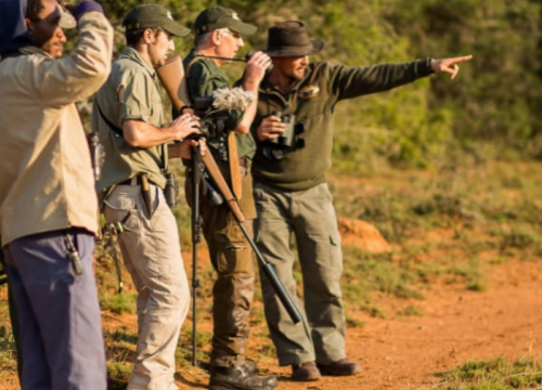 CAÇA DE SAFARI NA ÁFRICA DO SUL