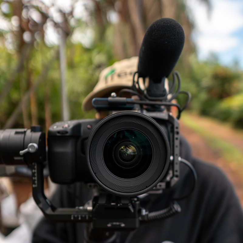 FILMAGEM CINEMATOGRÁFICA