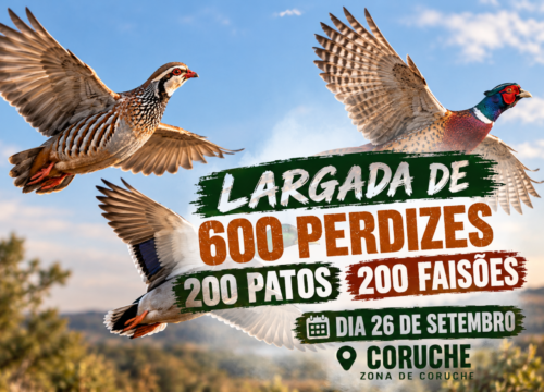 LARGADA DE PERDIZES, PATOS E FAISÕES