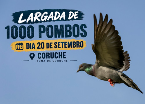 LARGADA DE POMBOS