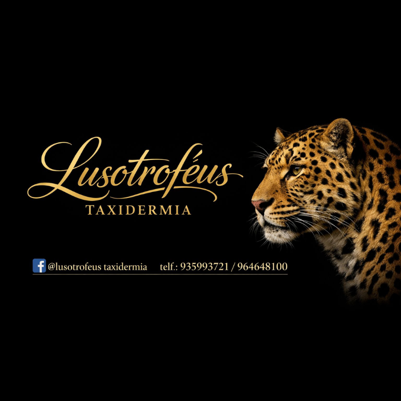 LusoTroféus